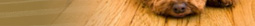 discount hardwood st. louis